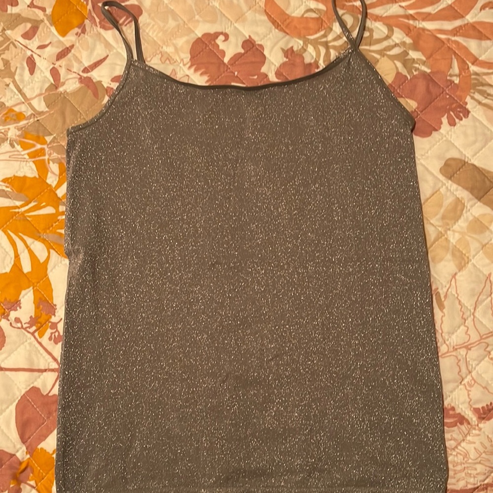 Ann Taylor camisole with a little shimmering going for a night  Size Small.